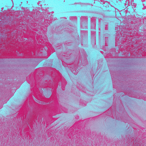 ANIMALS AND POLITICIANS 75BPM