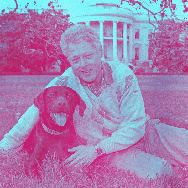 ANIMALS AND POLITICIANS 75BPM